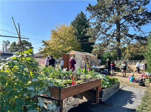 garden